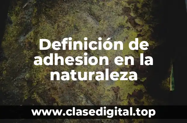 Definición de adhesion en la naturaleza