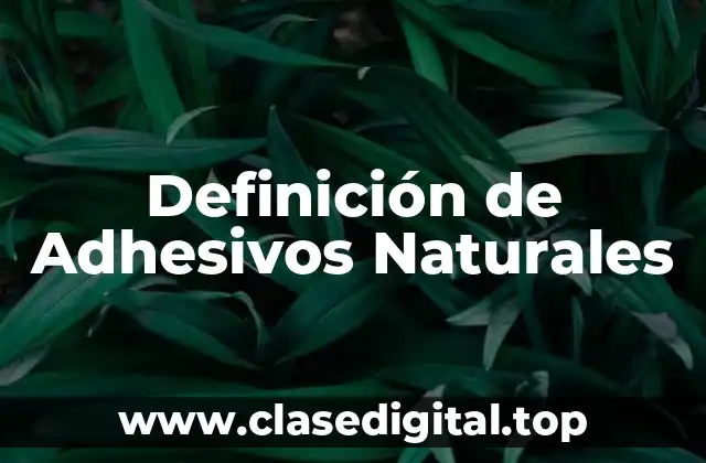 Definición de Adhesivos Naturales