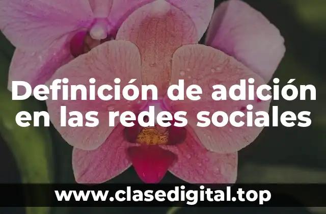 Definición de adición en las redes sociales