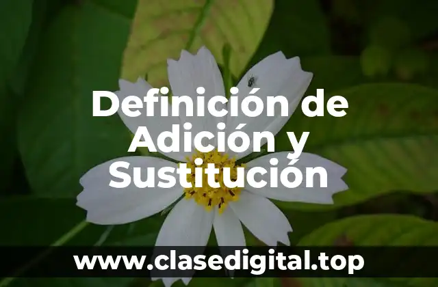 Ejemplos de Adición y Sustitución