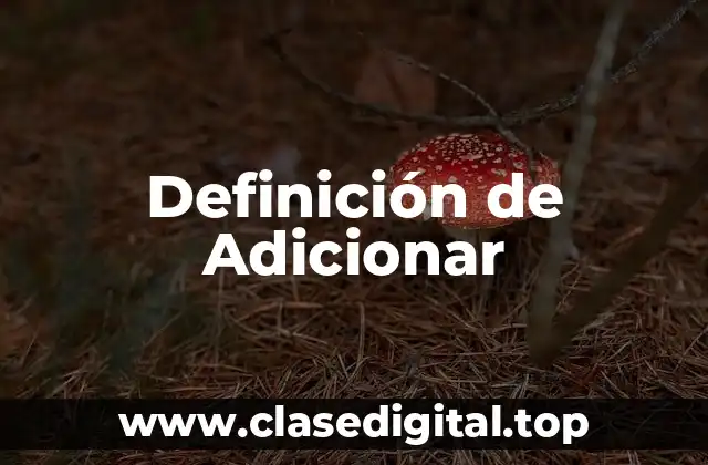 Definición técnica de Adicionar