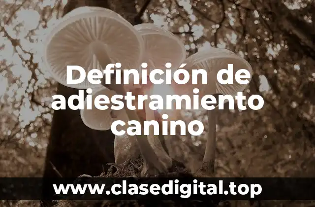 Definición de adiestramiento canino