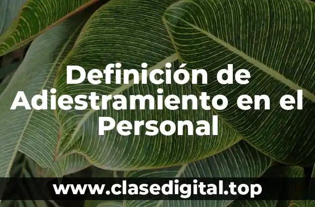 Definición Técnica de Adiestramiento en el Personal