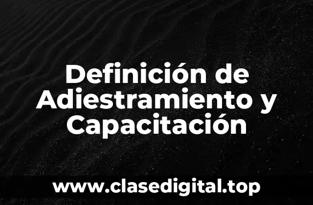 Ejemplos de Adiestramiento y Capacitación