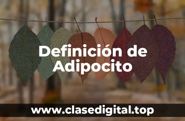 Definición de Adipocito