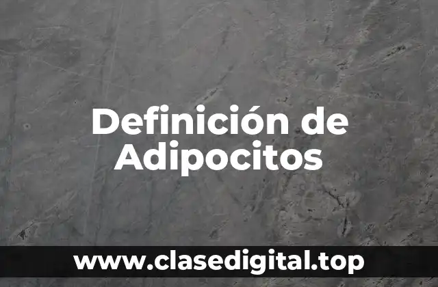 Definición Técnica de Adipocitos