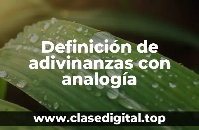 Definición de adivinanzas con analogía