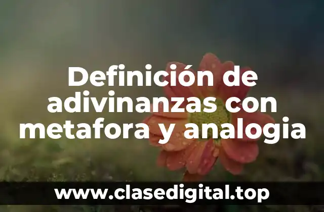 Definición de adivinanzas con metafora y analogia