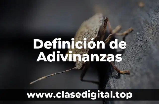 Definición técnica de adivinanza