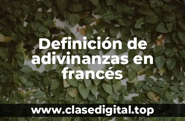 Definición de adivinanzas en francés