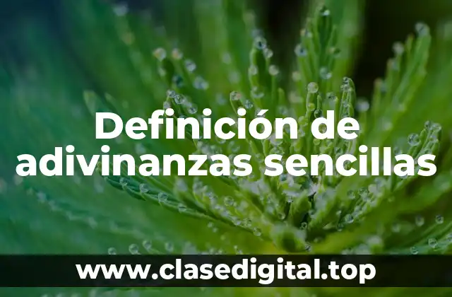 Definición de adivinanzas sencillas