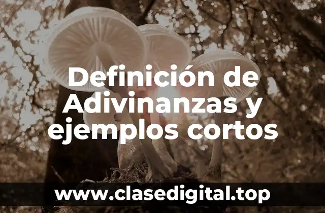 Definición técnica de Adivinanza