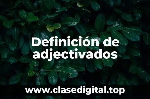 Definición de adjectivados
