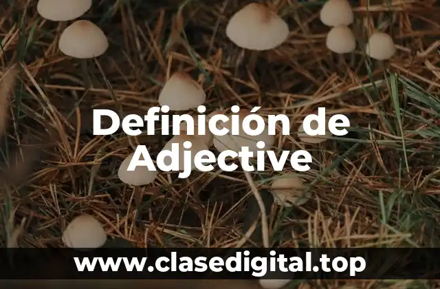 Definición de Adjective
