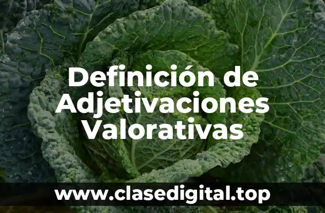 Definición de Adjetivaciones Valorativas