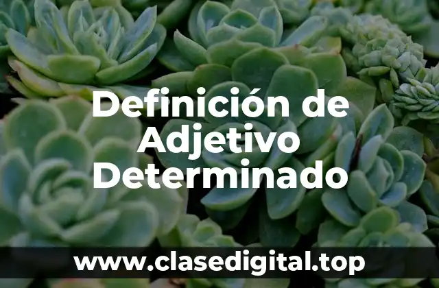 Definición de Adjetivo Determinado