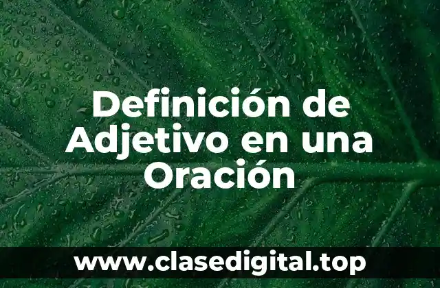 Definición de Adjetivo en una Oración