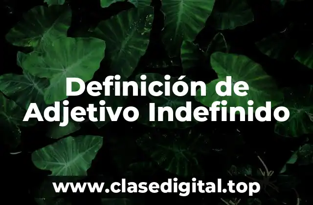 Definición de Adjetivo Indefinido