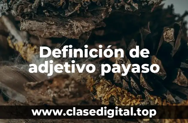 Definición de adjetivo payaso