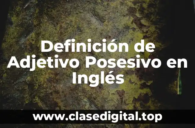 Definición de Adjetivo Posesivo en Inglés