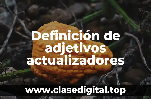 Definición de adjetivos actualizadores