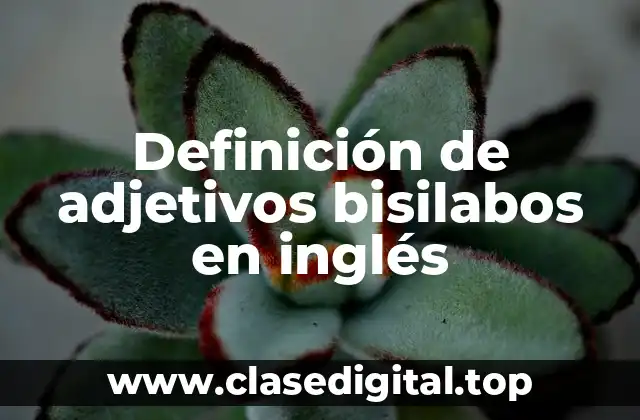 Definición de adjetivos bisilabos en inglés