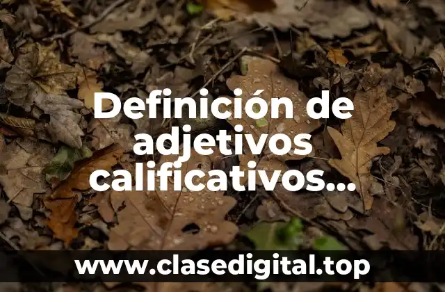 Ejemplos de adjetivos calificativos femeninos y masculinos