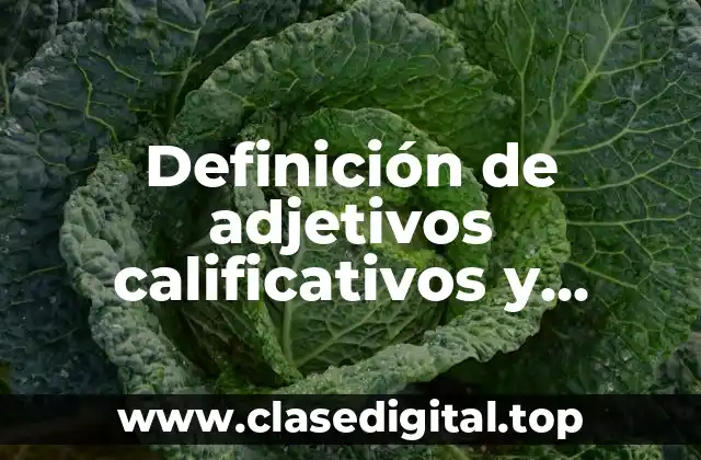 Definición de adjetivos calificativos y adverbios