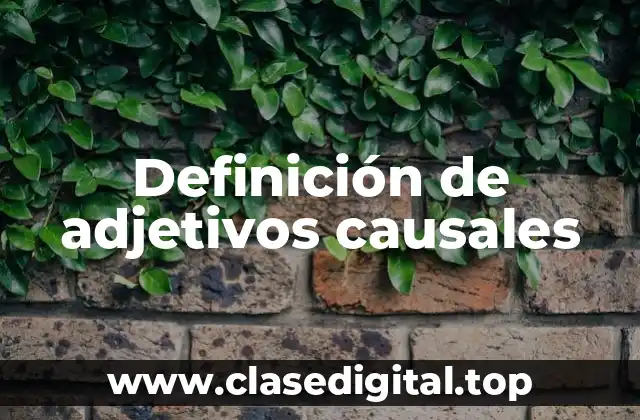 Definición de adjetivos causales