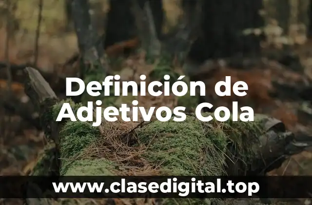 Definición de Adjetivos Cola