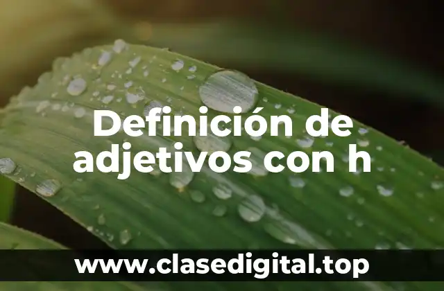 Definición de adjetivos con h
