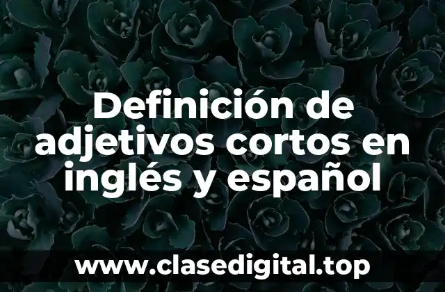 Definición de adjetivos cortos en inglés y español