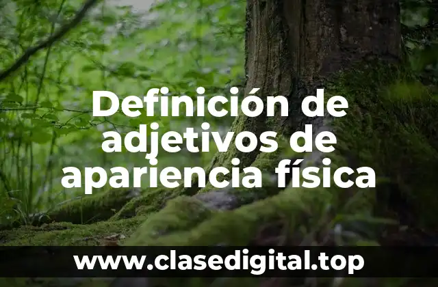 Definición de adjetivos de apariencia física