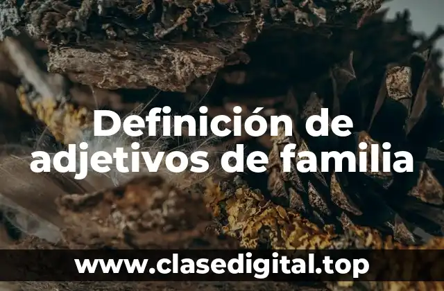 Definición de adjetivos de familia