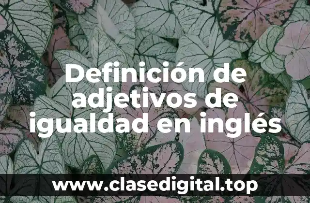Definición de adjetivos de igualdad en inglés