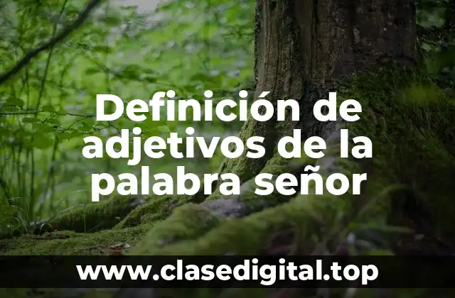 Definición de adjetivos de la palabra señor
