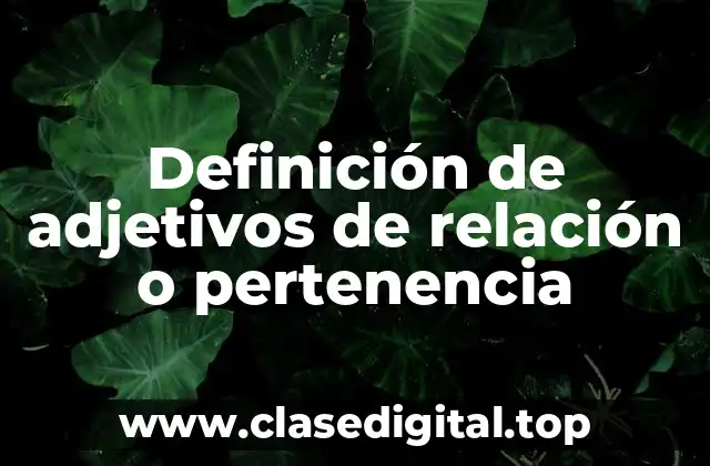 Definición de adjetivos de relación o pertenencia