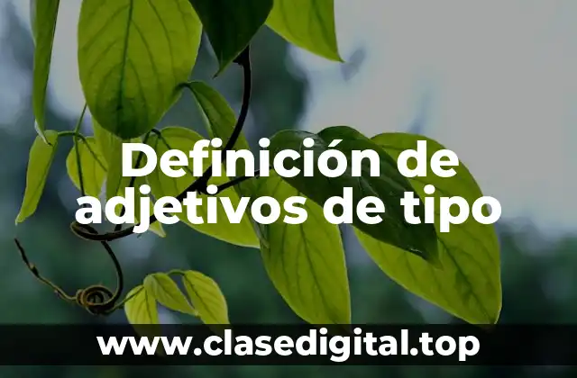 Definición de adjetivos de tipo