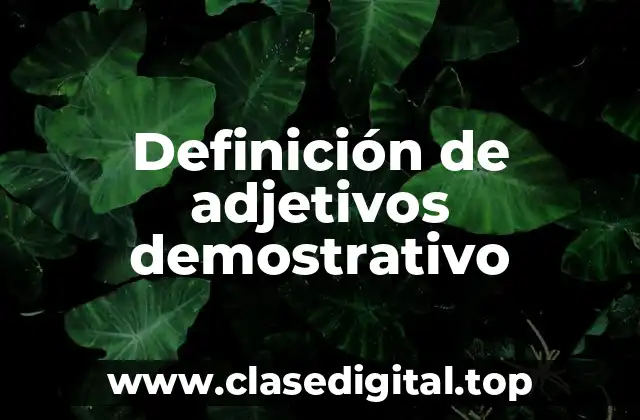 Definición de adjetivos demostrativo