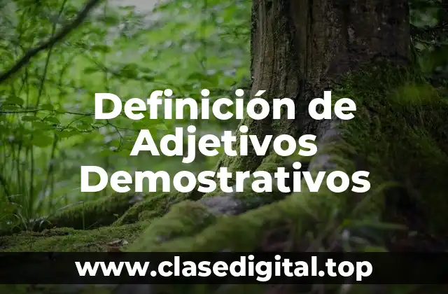 Definición de Adjetivos Demostrativos
