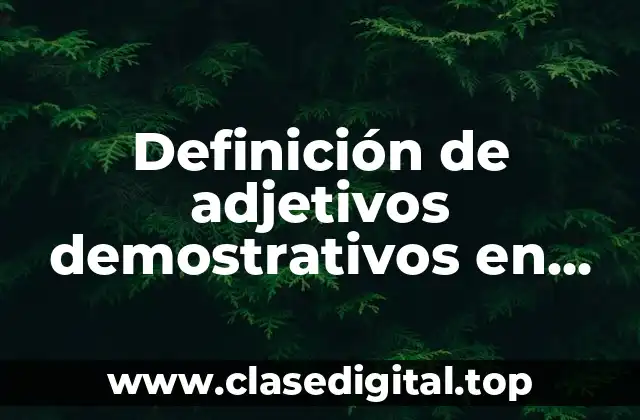 Definición de adjetivos demostrativos en oraciones