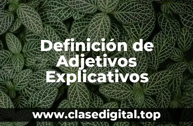 Definición de Adjetivos Explicativos