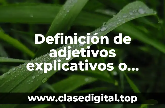 Definición de adjetivos explicativos o epítetos