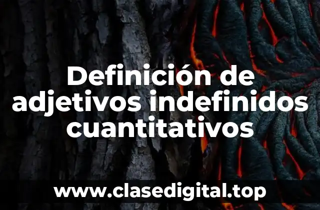 Definición de adjetivos indefinidos cuantitativos