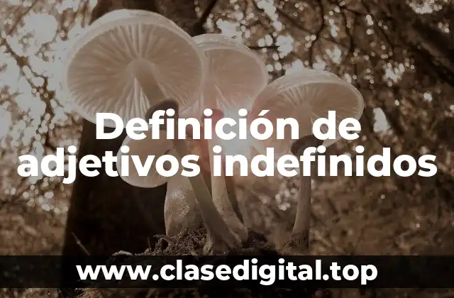Definición técnica de adjetivos indefinidos