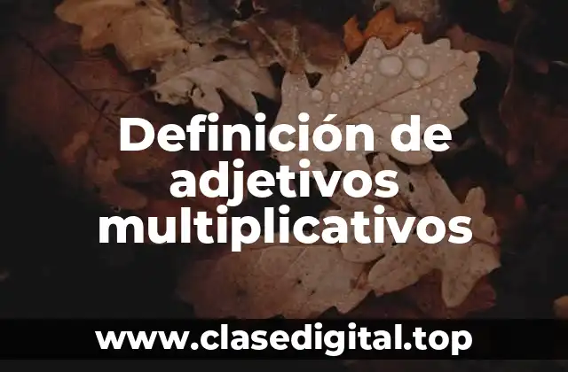 Definición de adjetivos multiplicativos