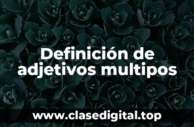 Definición de adjetivos multipos