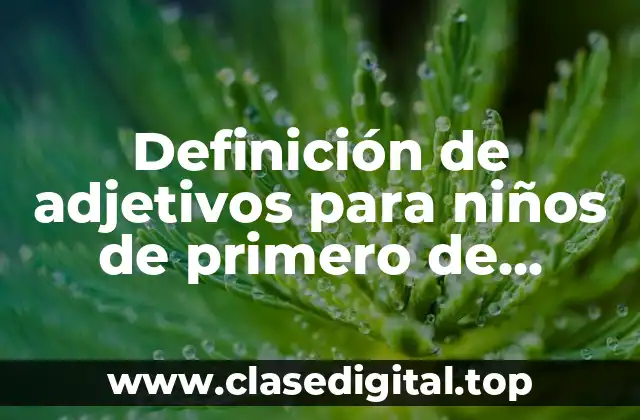 Definición de adjetivos para niños de primero de primaria