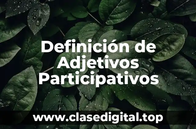 Definición de Adjetivos Participativos
