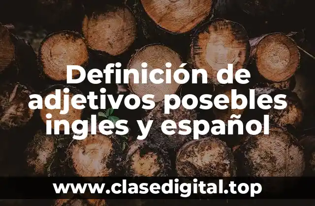 Definición de adjetivos posebles ingles y español